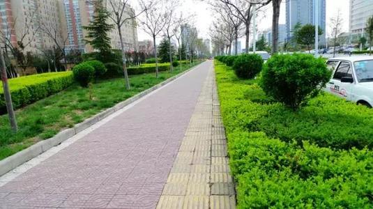 “三分栽七分養(yǎng)” 冬季綠化養(yǎng)護(hù)你知道嗎？